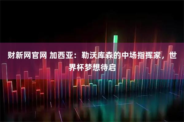 财新网官网 加西亚：勒沃库森的中场指挥家，世界杯梦想待启